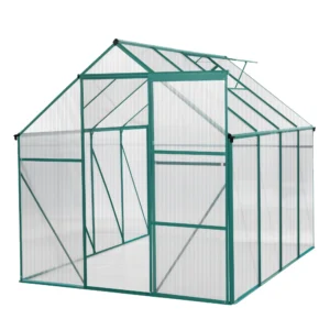 Green 6x8 FT Outdoor Patio Greenhouse with Metal Frame for Your Garden or Home